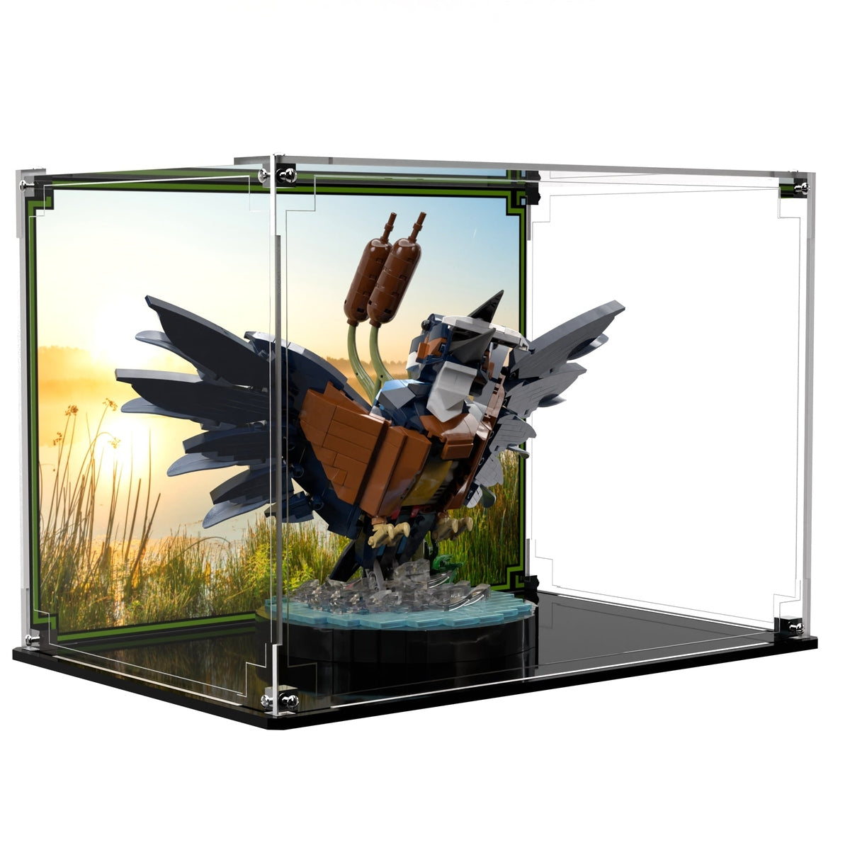 Display Case For LEGO® Icons Kingfisher Bird 10331