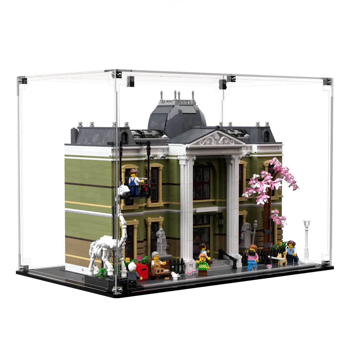 Display Case For LEGO® Icons Natural History Museum 10326